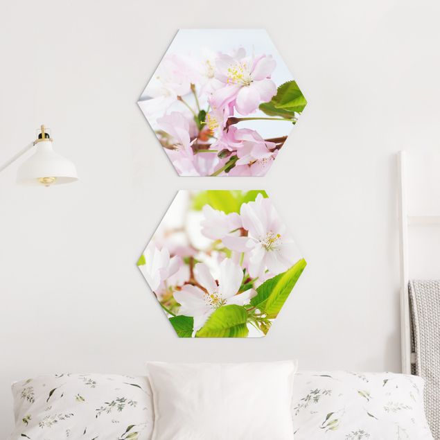 Bilder für die Wand Zierkirsche mit Blüten