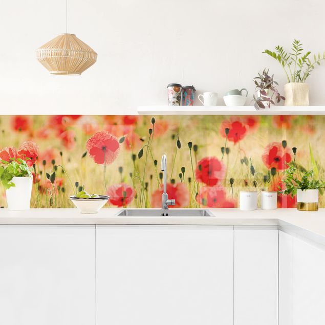 Küchenrückwand Blumen Summer Poppies