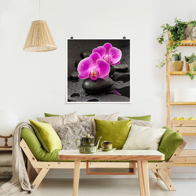 Bilder für die Wand Pinke Orchideenblüten auf Steinen mit Tropfen