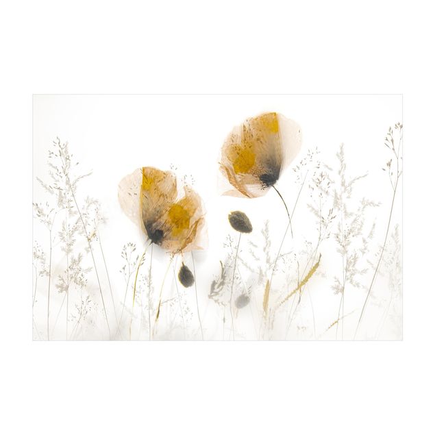 Teppich Blumen Mohnblumen und zarte Gräser im weichen Nebel