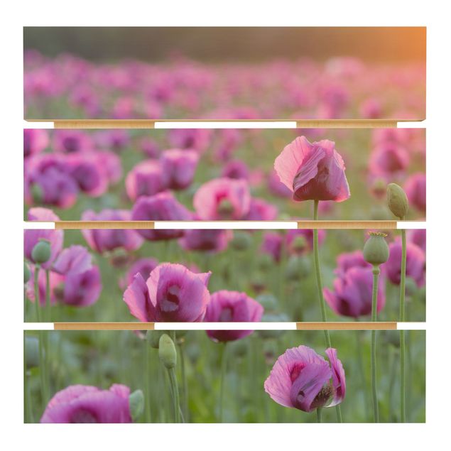 Holzbild - Violette Schlafmohn Blumenwiese im Frühling - Quadrat 1:1