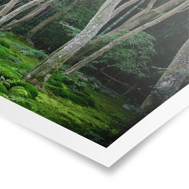Poster - Japanischer Wald - Panorama Querformat
