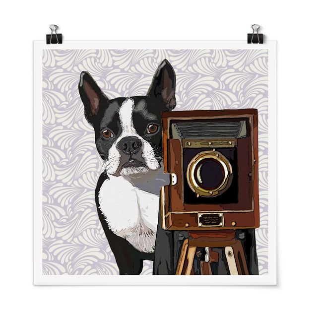 Poster - Tierfotograf Terrier - Quadrat 1:1