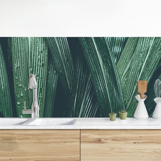 Küchenrückwände Platte Grüne Palmenblätter