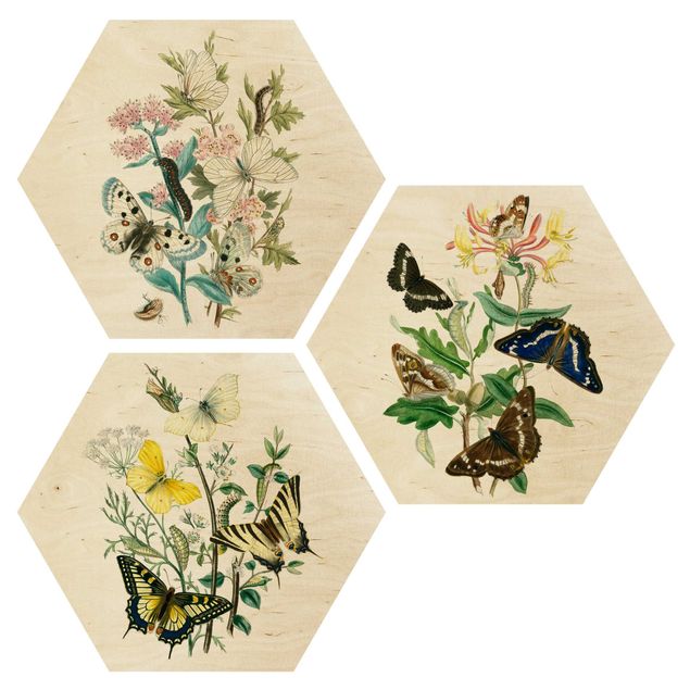 Wandbild Holz Britische Schmetterlinge Set I