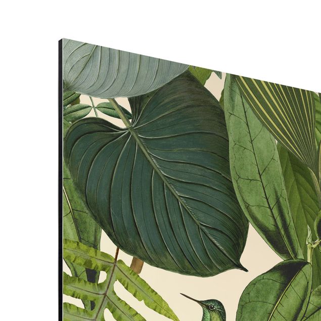 Aluminium Print gebürstet - Vintage Collage - Papageien im Dschungel - Hochformat 4:3