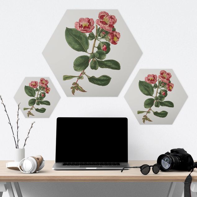Hexagon Bild Forex - Florale Schmuckstücke I