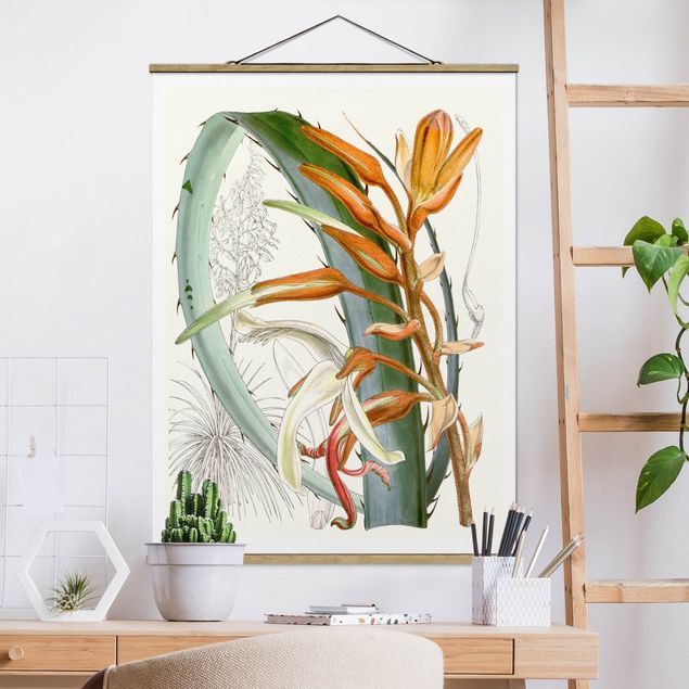 Wandbilder Vintage Illustration Tropische Blüten I