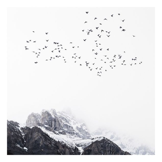 Bilder auf Hartschaumplatte Vogelschwarm vor Bergen Schwarz Weiß