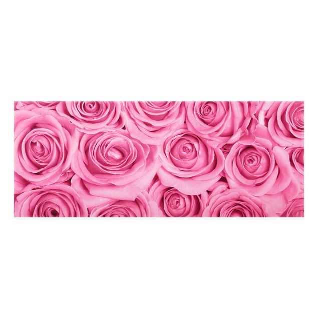 Küchenspritzschutz Rosa Rosen