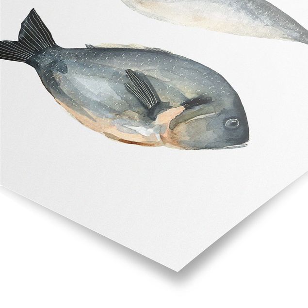 Bilder für die Wand Vier Fische in Aquarell I
