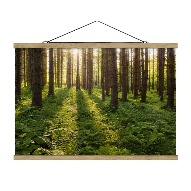 Stoffbild mit Posterleisten - Sonnenstrahlen in grünem Wald - Querformat 3:2