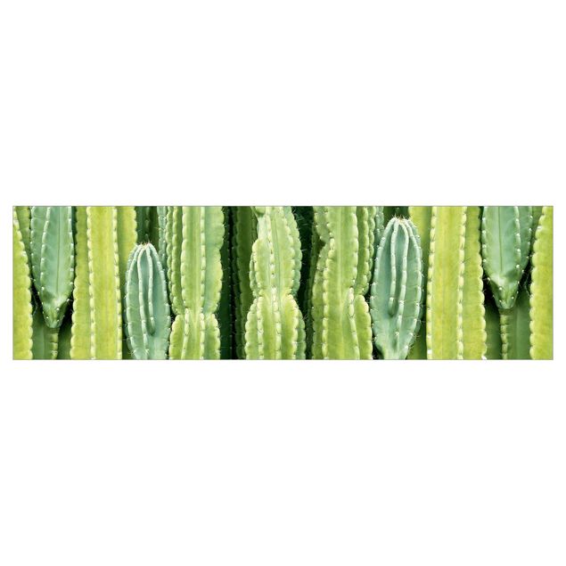 Küchenrückwand Grün Kaktus Wand