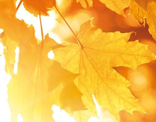 Wandbriefkasten - Autumn Leaves - Briefkasten Gelb