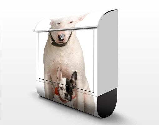 Briefkasten mit Zeitungsfach - Bull Terrier And Friend - Briefkasten mit Tiermotiv