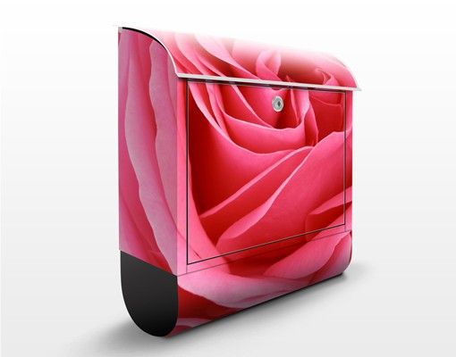 Briefkasten Blumen Lustful Pink Rose