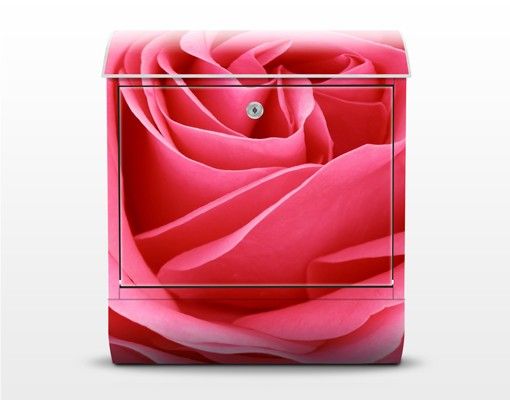 Briefkasten rosa Lustful Pink Rose
