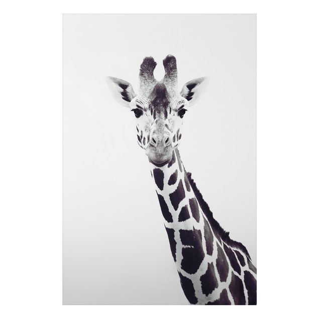 Wandbilder Giraffen Portrait in Schwarz-weiß