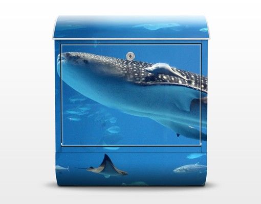 Briefkasten blau Fish in the Sea
