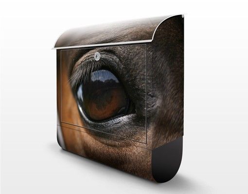 Briefkasten mit Zeitungsfach - Horse Eye - Briefkasten mit Tiermotiv