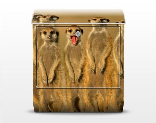 Designer Briefkasten Meerkat Family