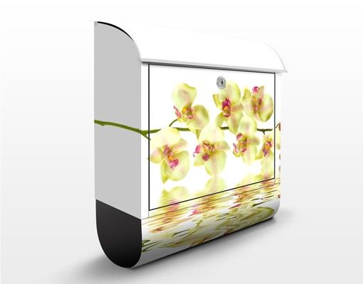 Briefkasten mit Blumen Dreamy Orchid Waters