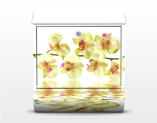 Briefkasten modern Dreamy Orchid Waters