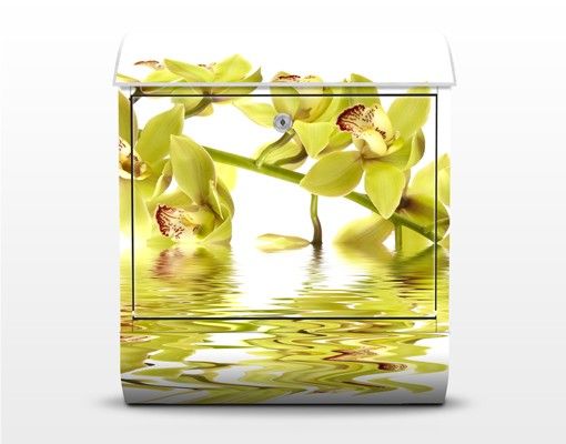 Briefkasten mit Zeitungsfach - Elegant Orchid Waters - Blumen Gelb