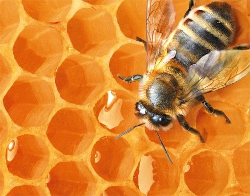 Wandbriefkasten - Honey Bee - Briefkasten Gelb