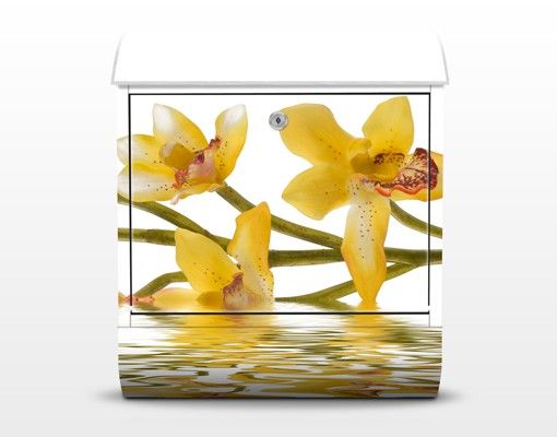 Weißer Briefkasten Saffron Orchid Waters