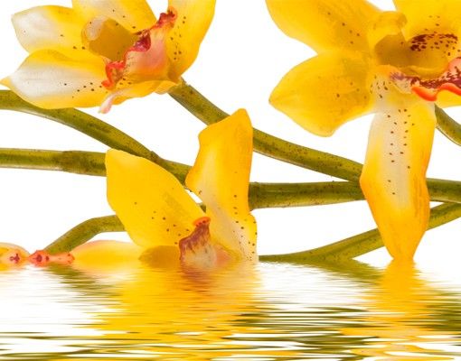 Designer Briefkasten Saffron Orchid Waters