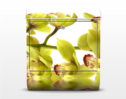 Designer Briefkasten Splendid Orchid Waters