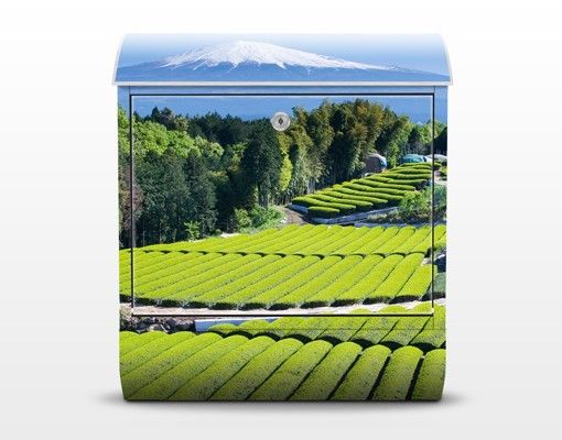 Designer Briefkasten Teefelder vor dem Fuji