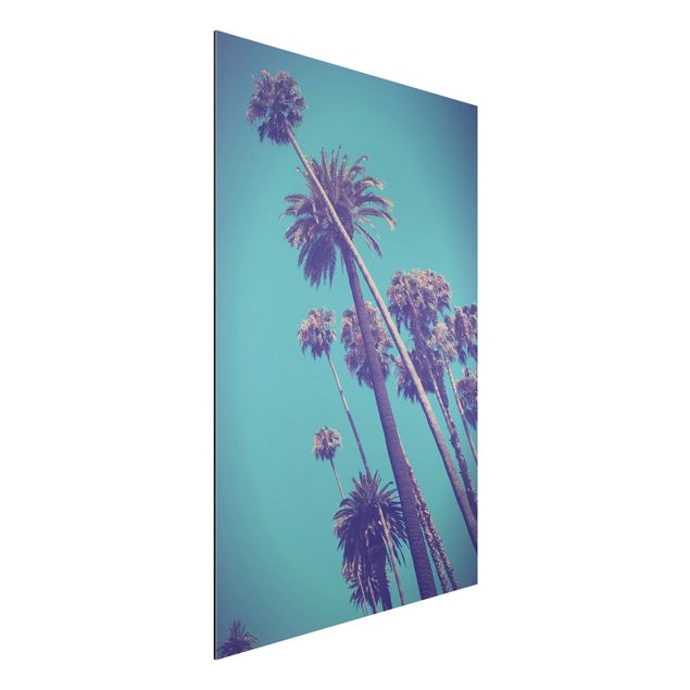 Bilder für die Wand Tropische Pflanzen Palmen und Himmel