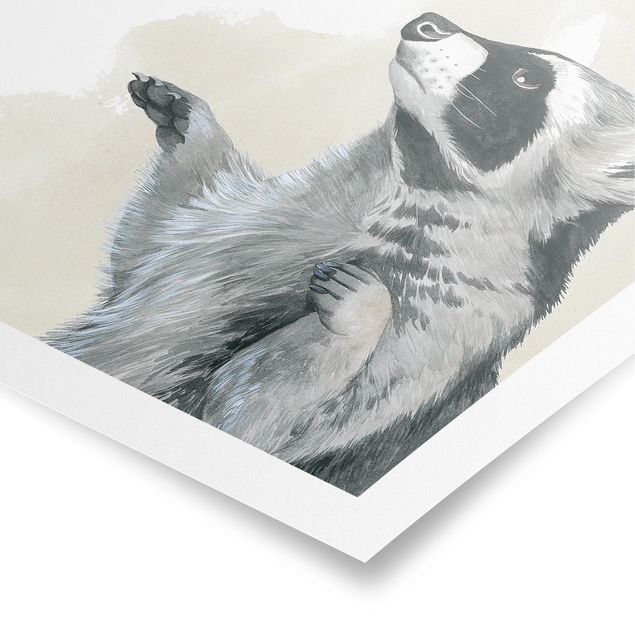 Tiere Poster Waldfreunde - Waschbär