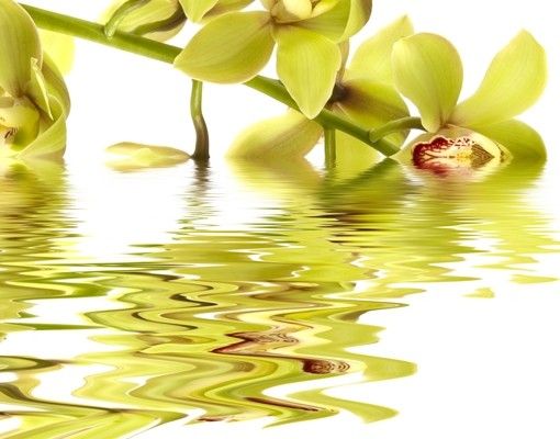 Beistelltisch - Elegant Orchid Waters