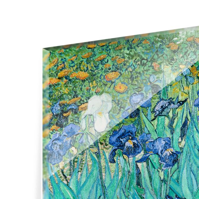 Spritzschutz Vincent van Gogh - Iris