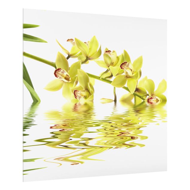 Spritzschutz Elegant Orchid Waters