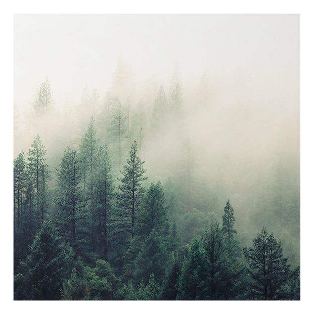Alu-Dibond - Wald im Nebel Erwachen - Quadrat