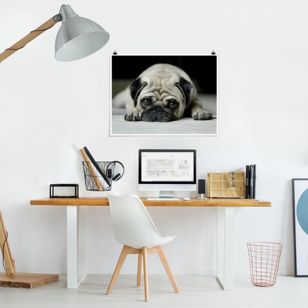 Poster Schwarz Weiß Querformat Pug Loves You