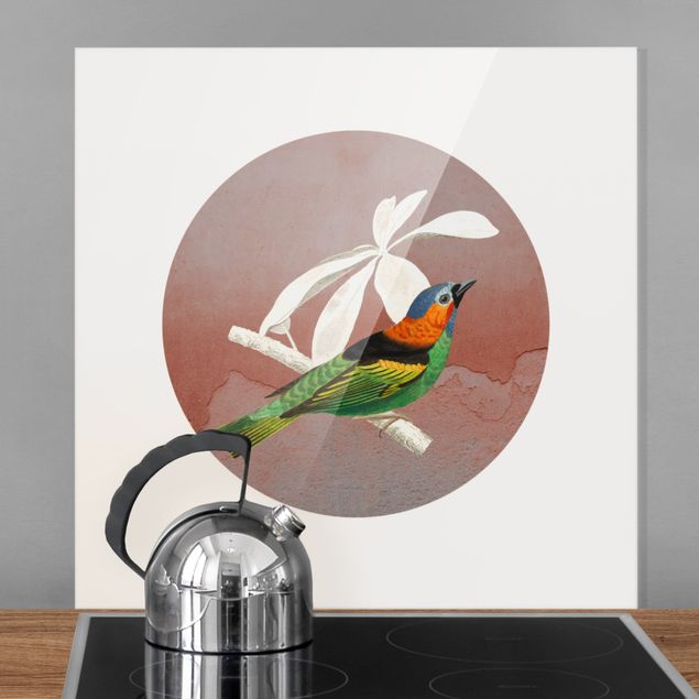Spritzschutz Glas magnetisch Vogel Collage im Kreis II
