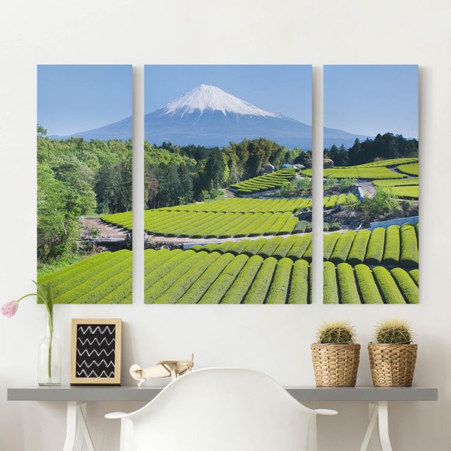 Leinwand Bilder XXL Teefelder vor dem Fuji