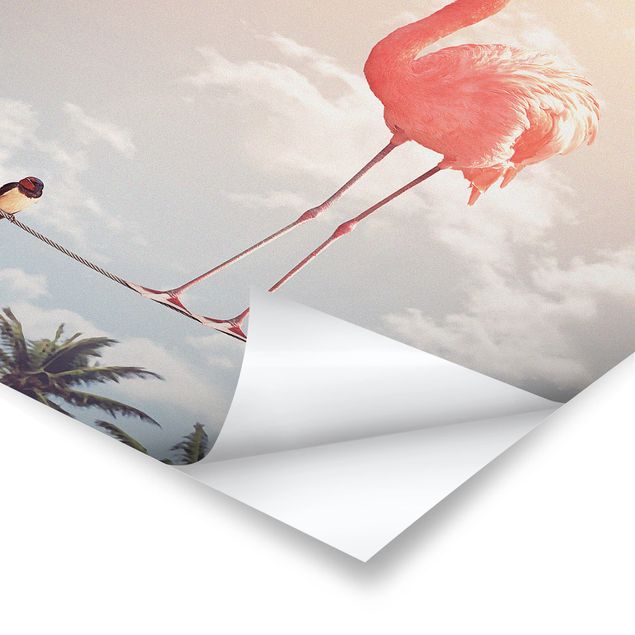 Poster kaufen Himmel mit Flamingo