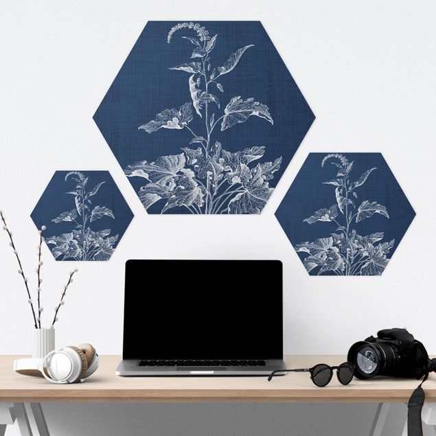 Hexagon Bild Forex - Denim Pflanzenstudie II
