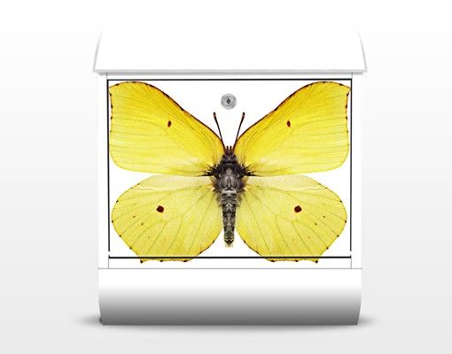 Briefkasten mit Zeitungsfach - Zitronenfalter - Briefkasten mit Tiermotiv
