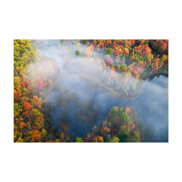 Teppich Wald Luftbild - Herbst Symphonie