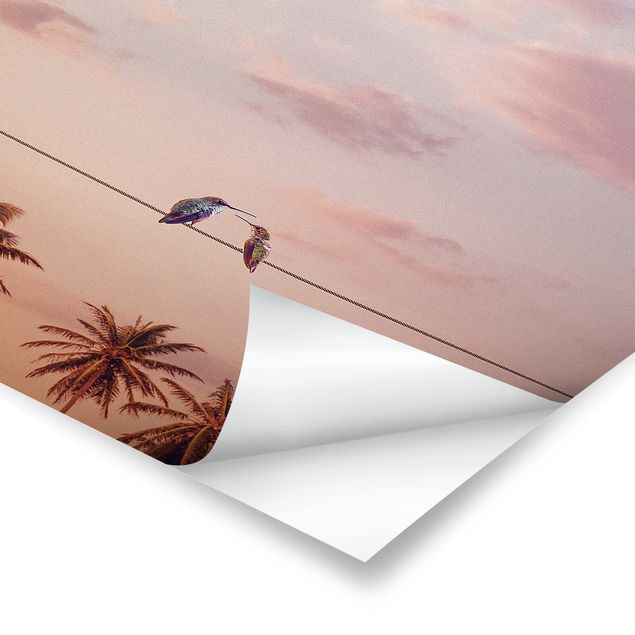 Poster bestellen Sonnenuntergang mit Kolibris