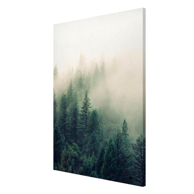 Magnettafel mit Motiv Wald im Nebel Erwachen