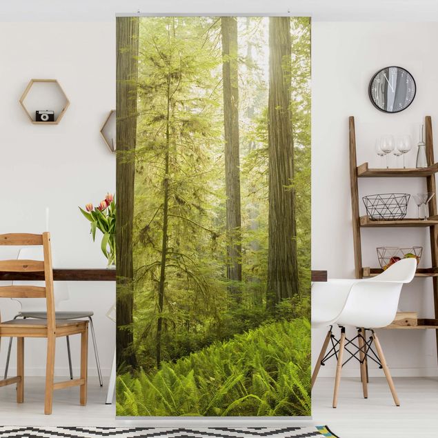 Vorhang Raumteiler Redwood State Park Waldblick