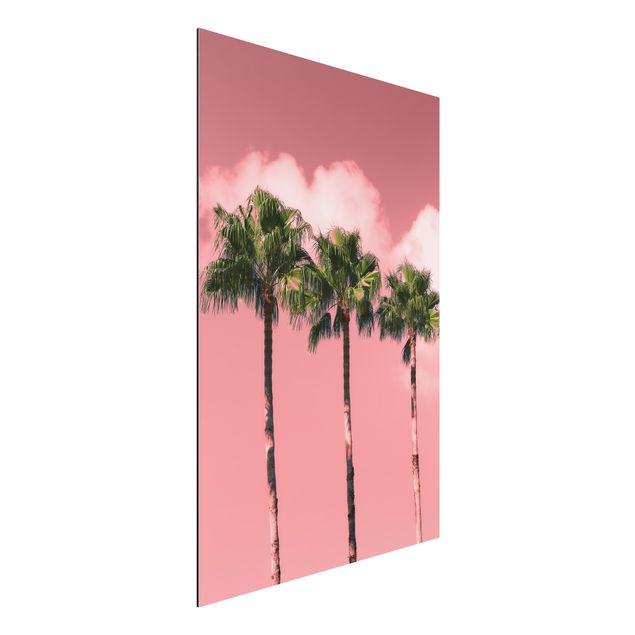 Schöne Wandbilder Palmen vor Himmel Rosa
